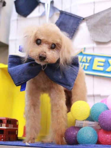 20230409モカくん